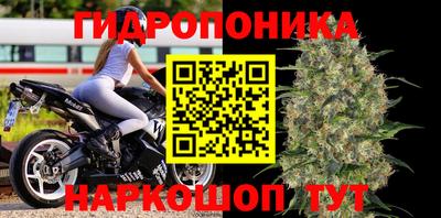 не бодяженный Заводоуковск