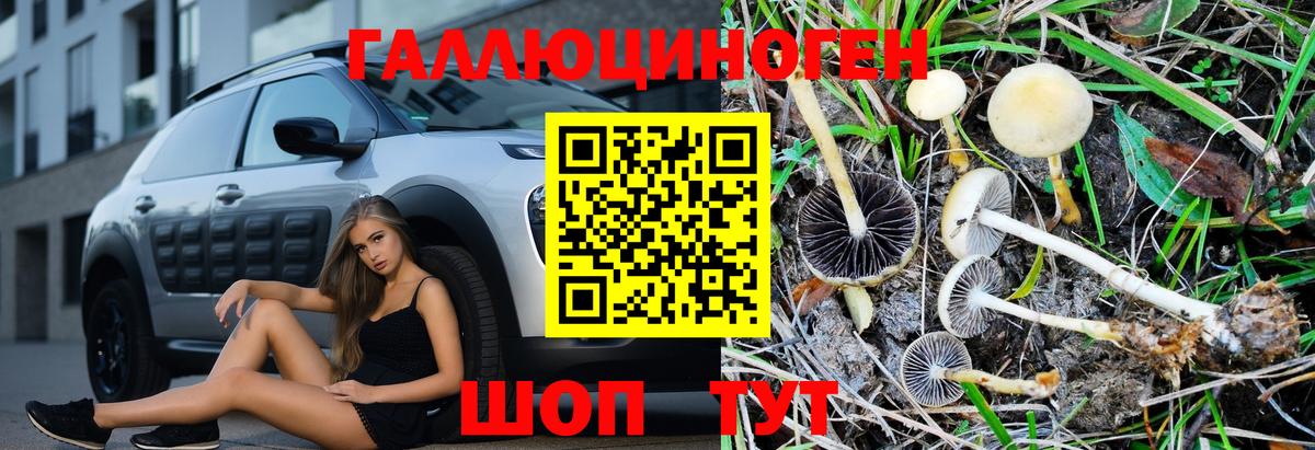 Магадан  Псилоцибиновые грибы мицелий  Псилоцибиновые грибы Magic Shrooms  Вход с VPN 